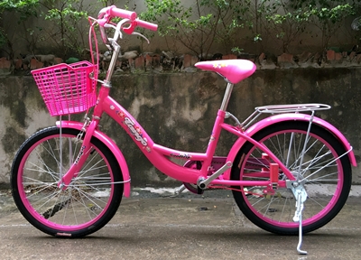 Cận cảnh những chiếc xe đạp cổ độc ở thành phố Vinh