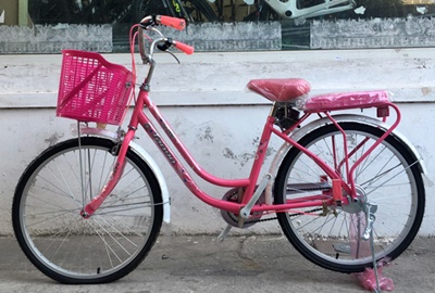 Hình ảnh Xe đạp Xe đạp Giỏ Màu Hồng PNG  Xe đạp Nữ đáng Yêu Kẹo Màu PNG  miễn phí tải tập tin PSDComment và Vector