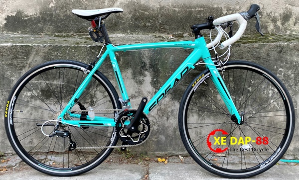 XE DAP DUA SPEAD 2021 16- xe đạp thể thao giá rẻ