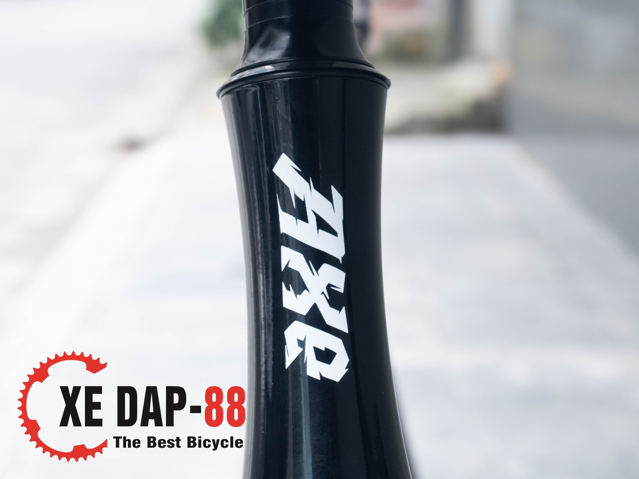 xe-dap-fixed-gear-axe-khung-to-det-3