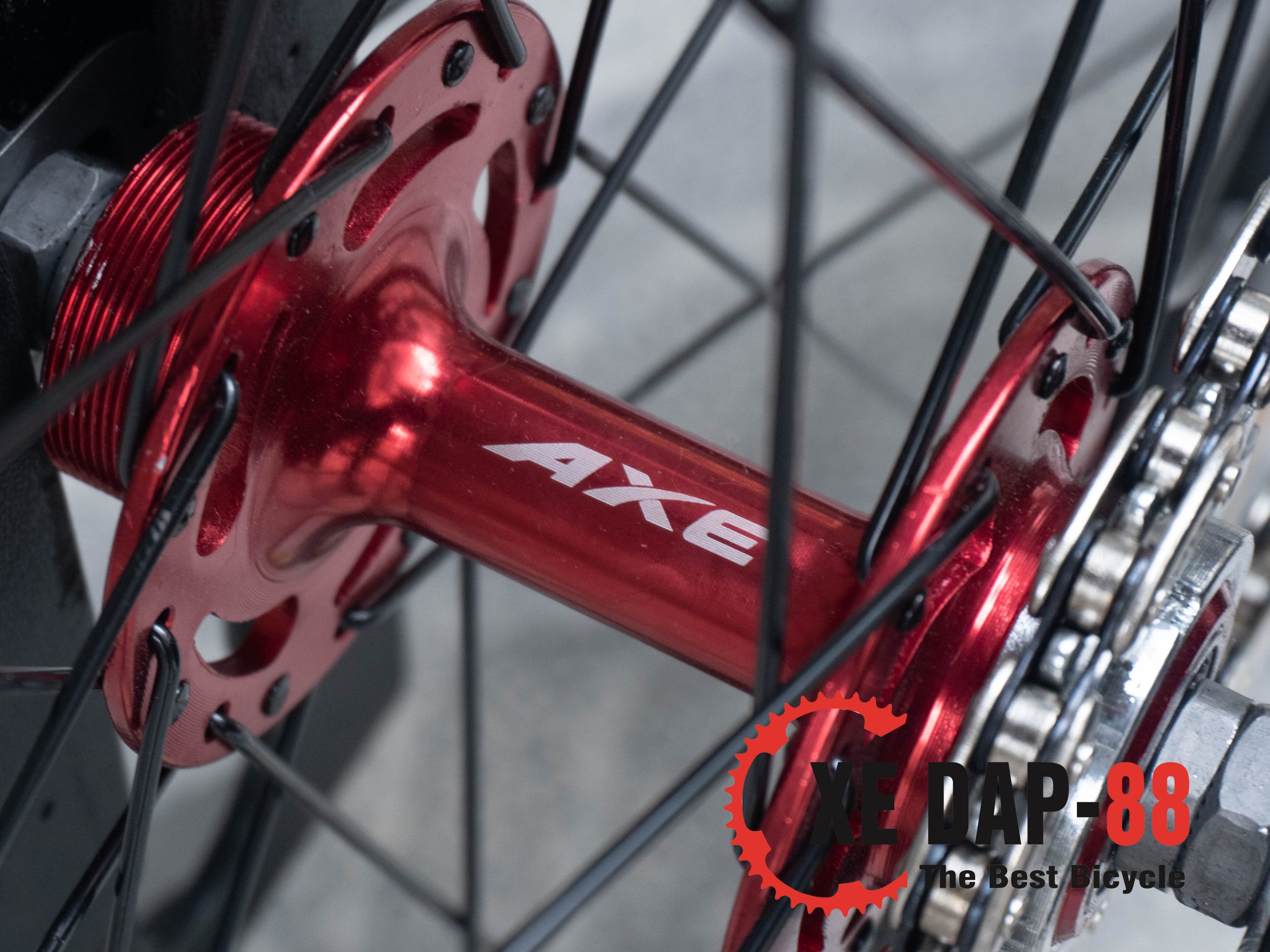 xe-dap-fixed-gear-axe-khung-to-det-6